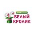 Белый Кролик (ИП Оникиенко Роман Евгеньевич)