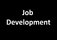 Job development (ИП Козлова Ольга Александровна)